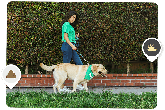Dog Walking